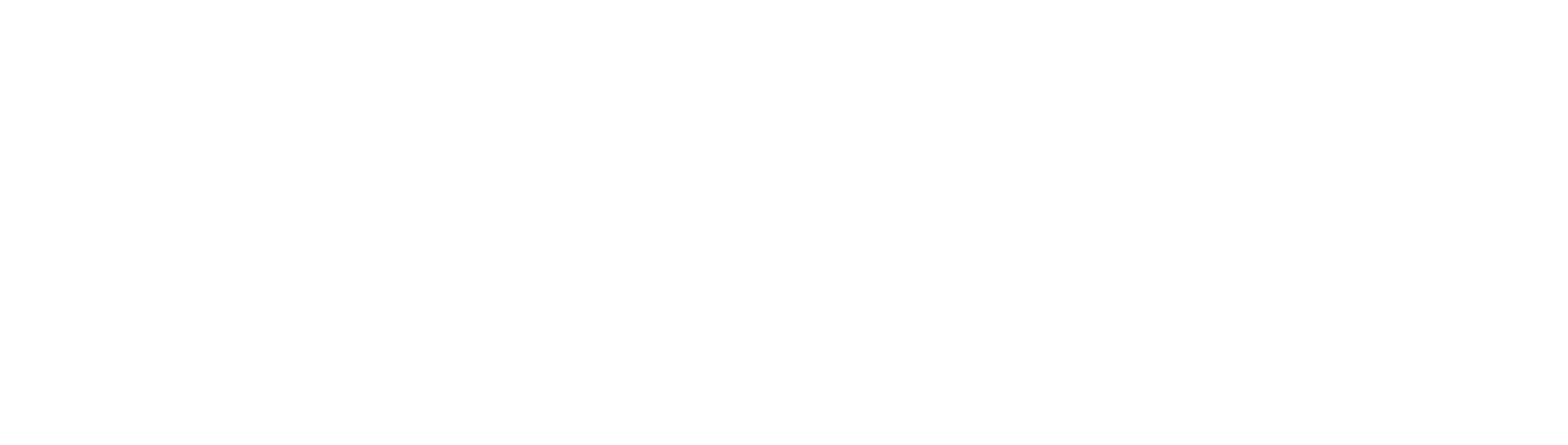 IRO LOGO